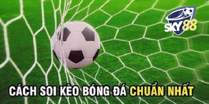 Dự Đoán Bóng Đá